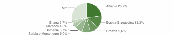 Grafico cittadinanza stranieri - Tricesimo 2005