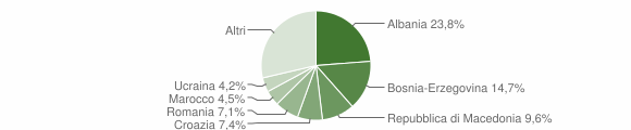 Grafico cittadinanza stranieri - Tricesimo 2007