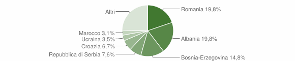 Grafico cittadinanza stranieri - Tricesimo 2011