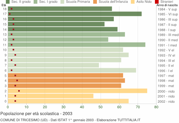 Grafico Popolazione in età scolastica - Tricesimo 2003