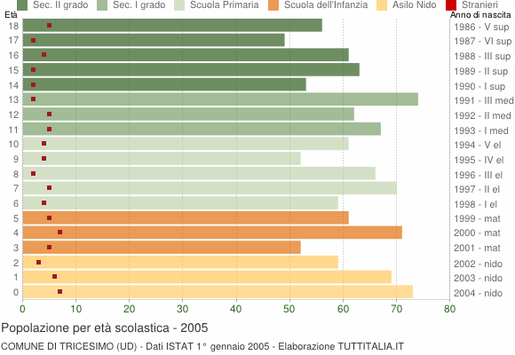 Grafico Popolazione in età scolastica - Tricesimo 2005