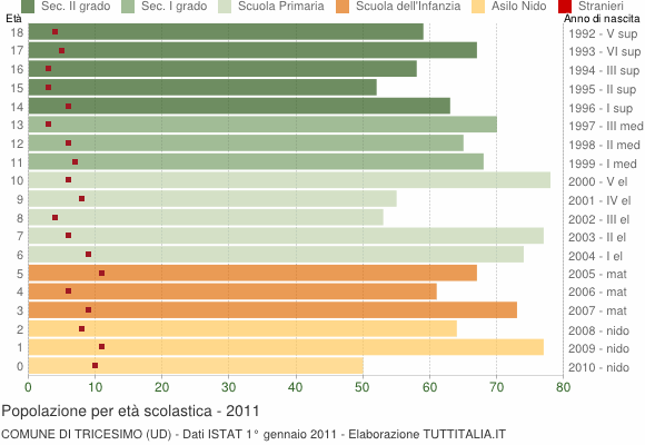 Grafico Popolazione in età scolastica - Tricesimo 2011