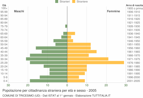 Grafico cittadini stranieri - Tricesimo 2005