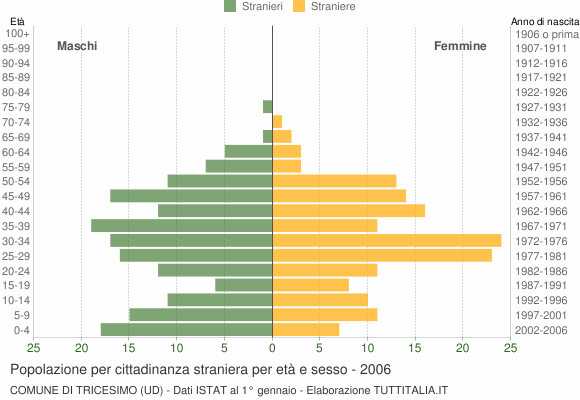 Grafico cittadini stranieri - Tricesimo 2006