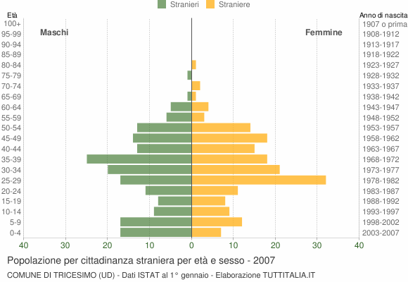 Grafico cittadini stranieri - Tricesimo 2007