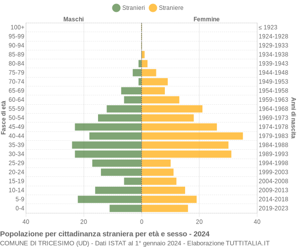 Grafico cittadini stranieri - Tricesimo 2024