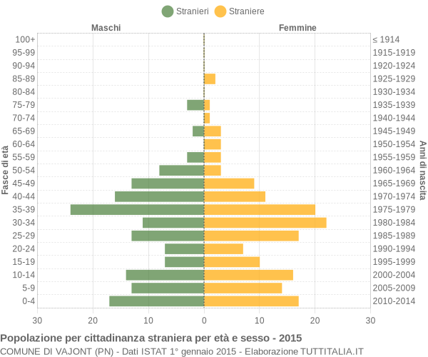 Grafico cittadini stranieri - Vajont 2015