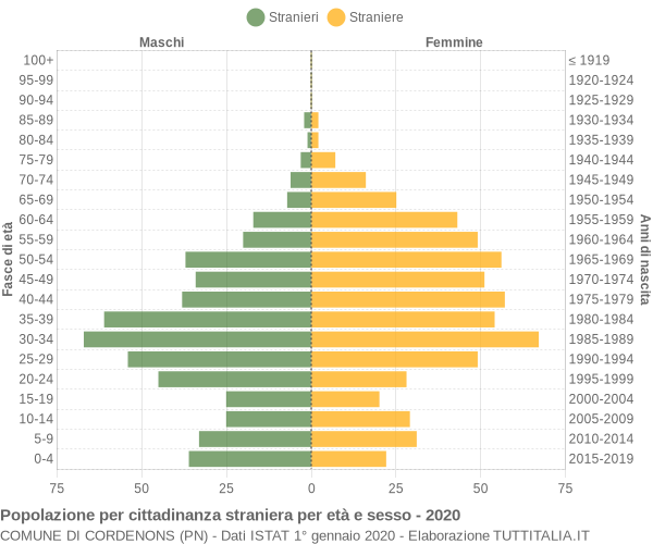 Grafico cittadini stranieri - Cordenons 2020