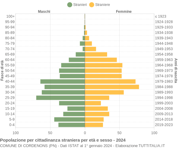 Grafico cittadini stranieri - Cordenons 2024