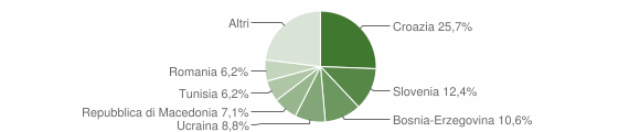 Grafico cittadinanza stranieri - San Pietro al Natisone 2007