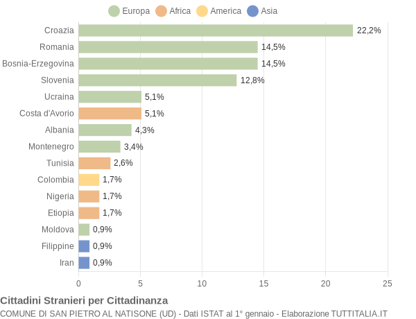 Grafico cittadinanza stranieri - San Pietro al Natisone 2012