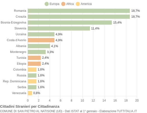 Grafico cittadinanza stranieri - San Pietro al Natisone 2013