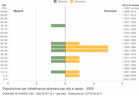 Grafico cittadini stranieri - Ovaro 2005