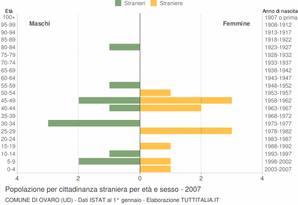 Grafico cittadini stranieri - Ovaro 2007