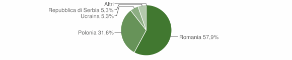 Grafico cittadinanza stranieri - Zuglio 2010