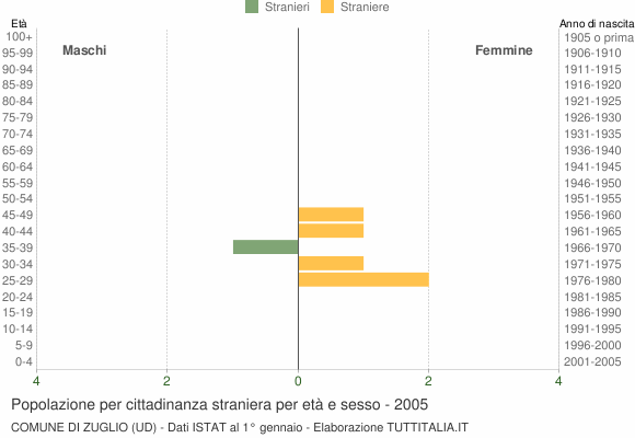 Grafico cittadini stranieri - Zuglio 2005