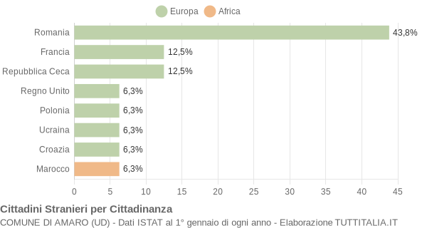 Grafico cittadinanza stranieri - Amaro 2009