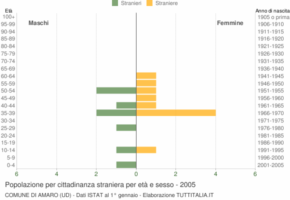 Grafico cittadini stranieri - Amaro 2005