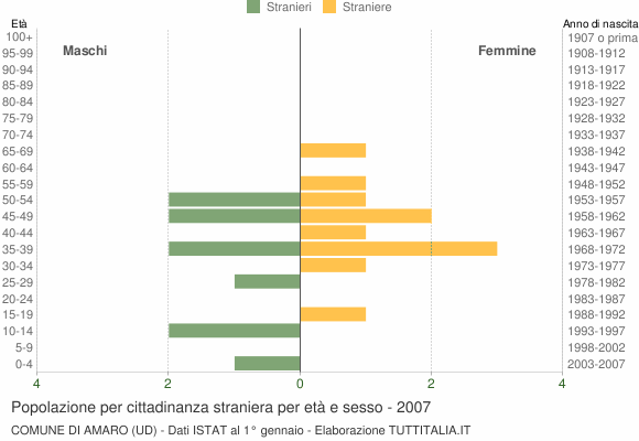 Grafico cittadini stranieri - Amaro 2007