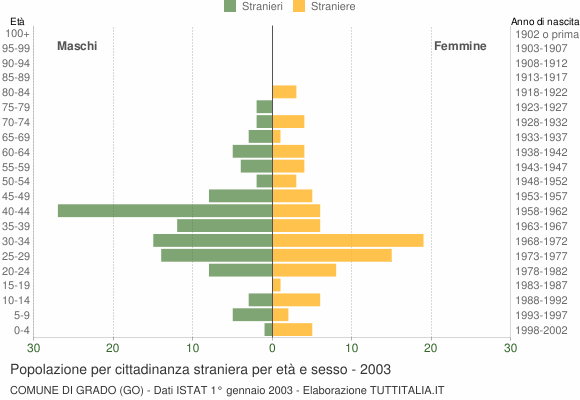 Grafico cittadini stranieri - Grado 2003
