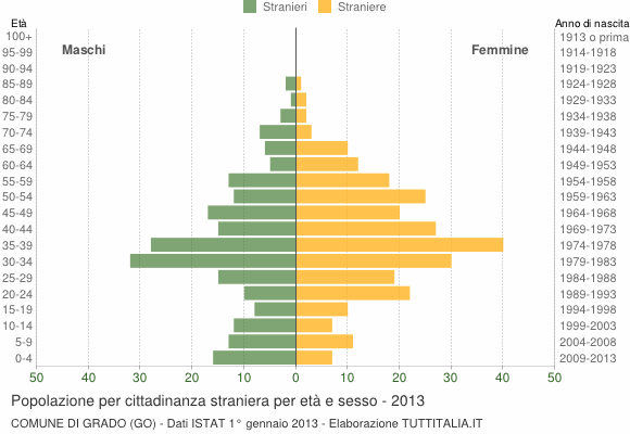 Grafico cittadini stranieri - Grado 2013