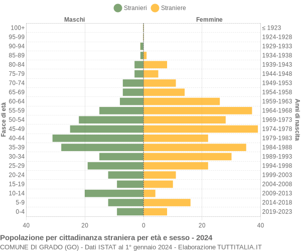 Grafico cittadini stranieri - Grado 2024