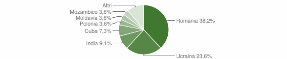 Grafico cittadinanza stranieri - Cavazzo Carnico 2013