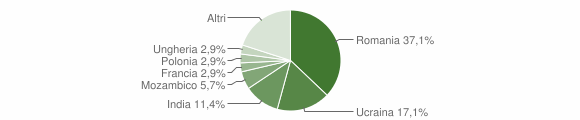 Grafico cittadinanza stranieri - Cavazzo Carnico 2020