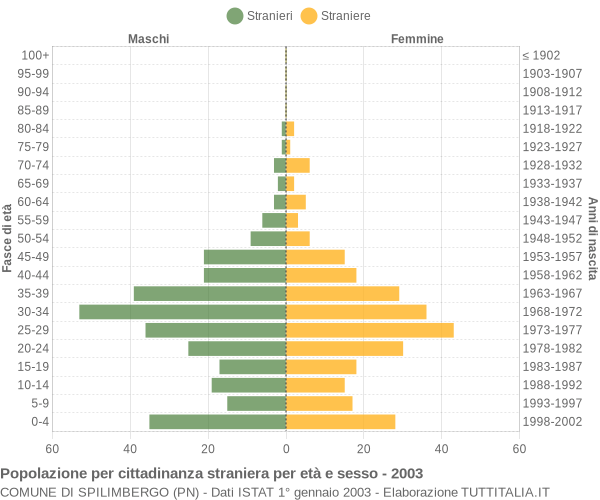 Grafico cittadini stranieri - Spilimbergo 2003