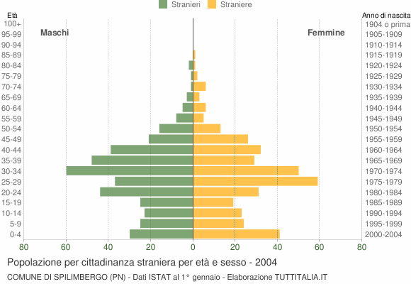 Grafico cittadini stranieri - Spilimbergo 2004