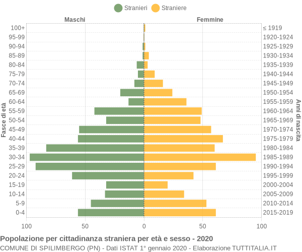Grafico cittadini stranieri - Spilimbergo 2020