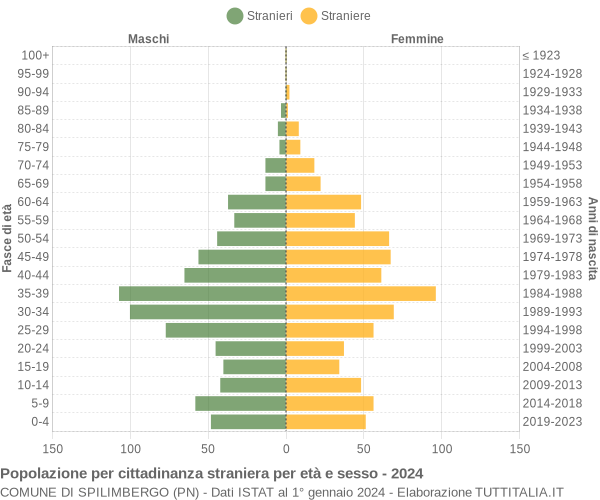 Grafico cittadini stranieri - Spilimbergo 2024