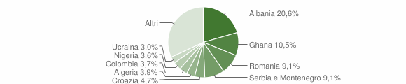 Grafico cittadinanza stranieri - Udine 2004