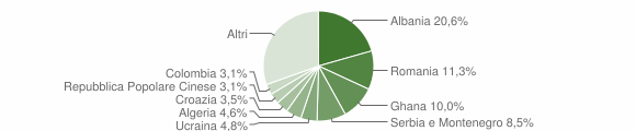 Grafico cittadinanza stranieri - Udine 2006