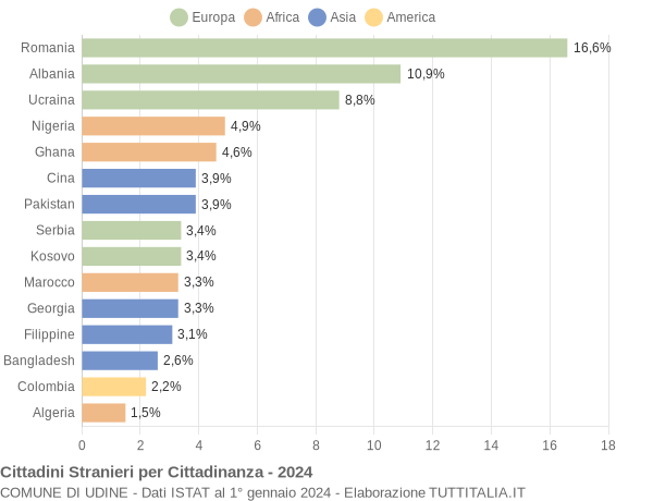 Grafico cittadinanza stranieri - Udine 2024