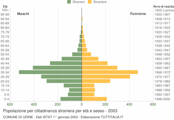Grafico cittadini stranieri - Udine 2003