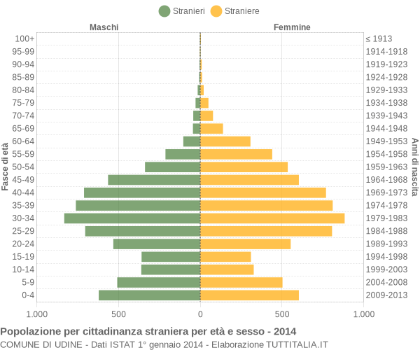 Grafico cittadini stranieri - Udine 2014