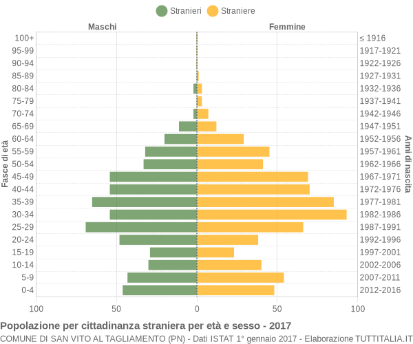 Grafico cittadini stranieri - San Vito al Tagliamento 2017