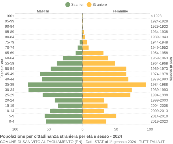 Grafico cittadini stranieri - San Vito al Tagliamento 2024