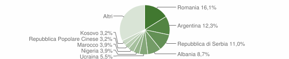 Grafico cittadinanza stranieri - Fagagna 2013