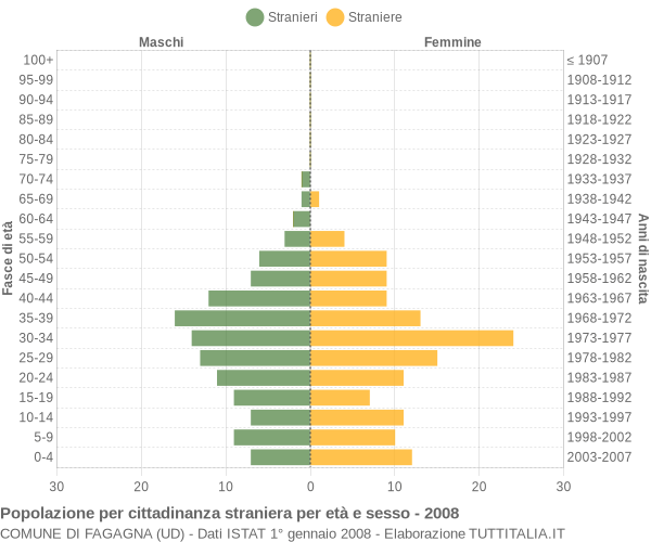 Grafico cittadini stranieri - Fagagna 2008
