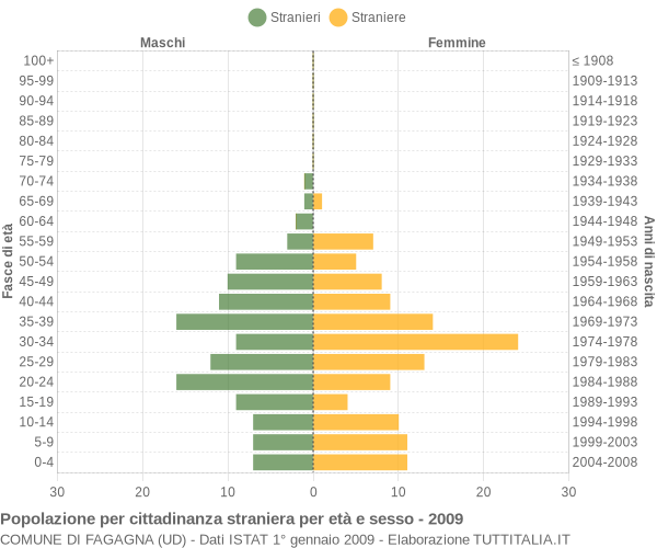 Grafico cittadini stranieri - Fagagna 2009
