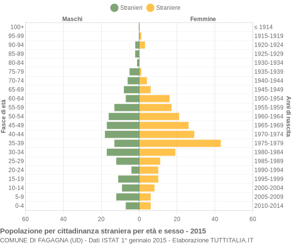 Grafico cittadini stranieri - Fagagna 2015