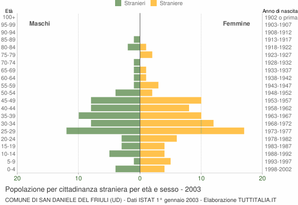 Grafico cittadini stranieri - San Daniele del Friuli 2003