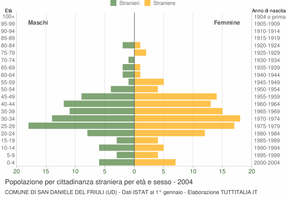 Grafico cittadini stranieri - San Daniele del Friuli 2004
