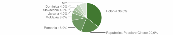 Grafico cittadinanza stranieri - Forni di Sotto 2005