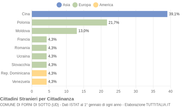 Grafico cittadinanza stranieri - Forni di Sotto 2013