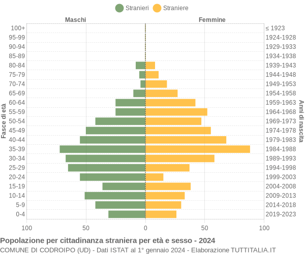 Grafico cittadini stranieri - Codroipo 2024