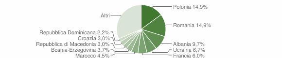 Grafico cittadinanza stranieri - Tolmezzo 2007