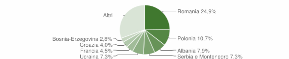 Grafico cittadinanza stranieri - Tolmezzo 2008